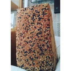 PAN DE SARRACENO Y ARROZ...